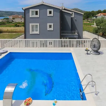 Blue Dolphin *